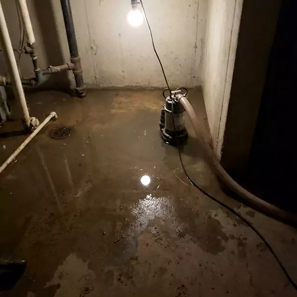 Basement Flood Clean Up in Chandler, AZ