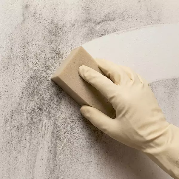 Smoke Cleaning in Chandler, AZ 