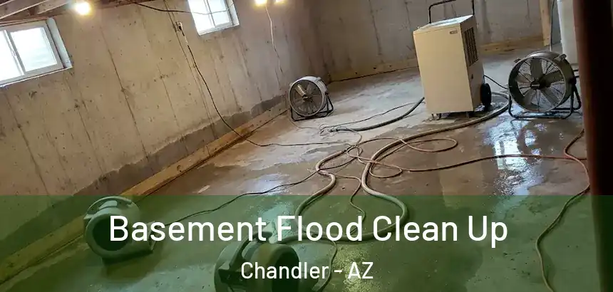  Basement Flood Clean Up Chandler - AZ