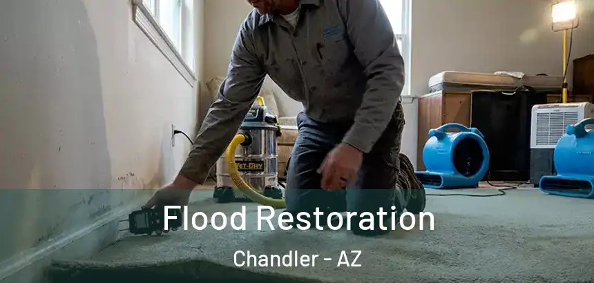  Flood Restoration Chandler - AZ