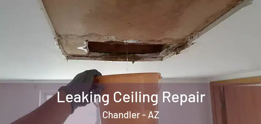 Leaking Ceiling Repair Chandler - AZ
