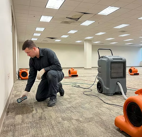 Why Businesses Choose Water Damage Chandler AZ for Commercial Water Damage in Chandler, AZ?