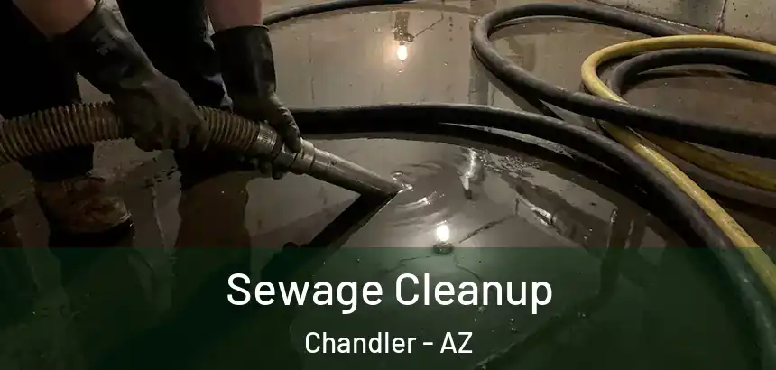 Sewage Cleanup Chandler - AZ