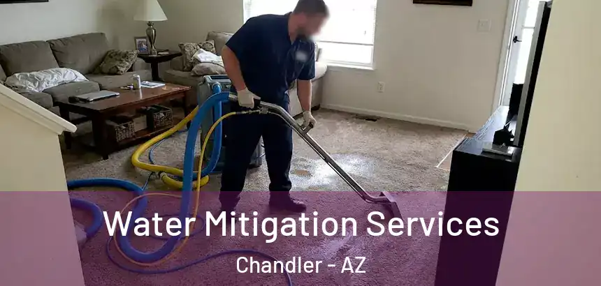 Water Mitigation Services Chandler - AZ