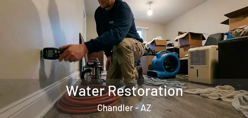  Water Restoration Chandler - AZ